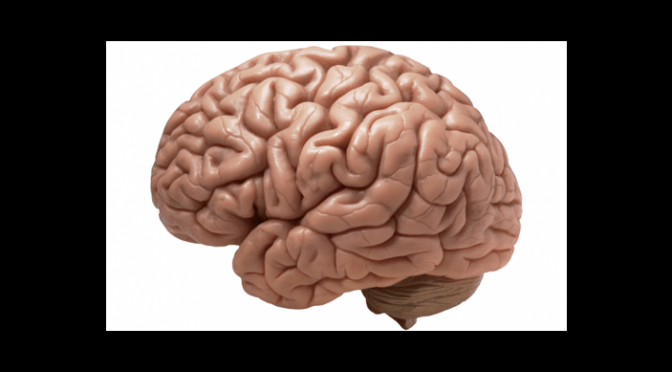 Screen shot 2014-02-10 at 4.34.46 PM