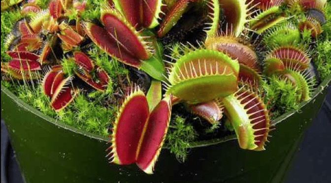 Screen shot 2014-04-14 at 7.33.58 PM