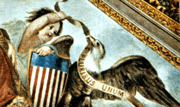 Before the stars and stripes, there was a hand holding a bouquet. Unity through individuality—the forgotten American dream Before the stars and stripes, there was a hand holding a bouquet. Unity through individuality—the forgotten American dream