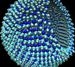 Azotosome model: nitrogen-based cell membrane designed for extreme cold