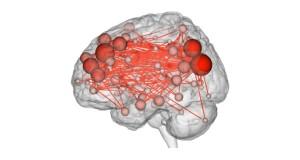 Neurons in action, captured like fireworks of thought.